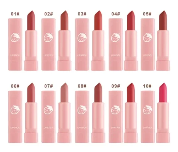 Dragon Ranee 10 Pieces Velvet Matte Pink Lipstick Set | Long Lasting Makeup Waterproof Lip Gloss For Girls & Womens
